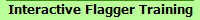 Interactive Flagger Training
